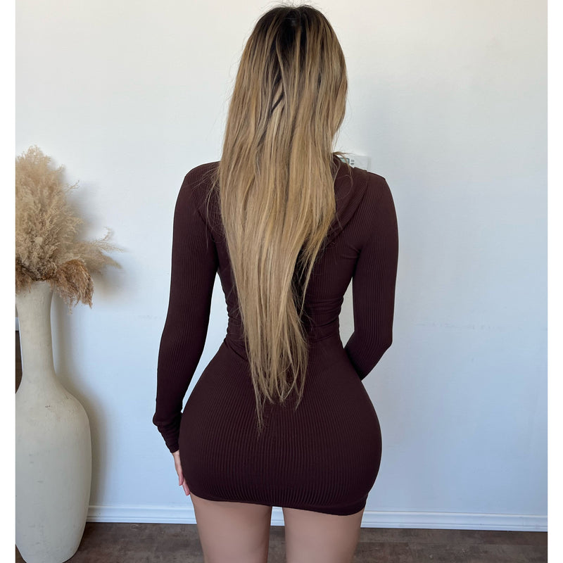 Gia Snatched Rib Hoodie Dress(Chocolate)