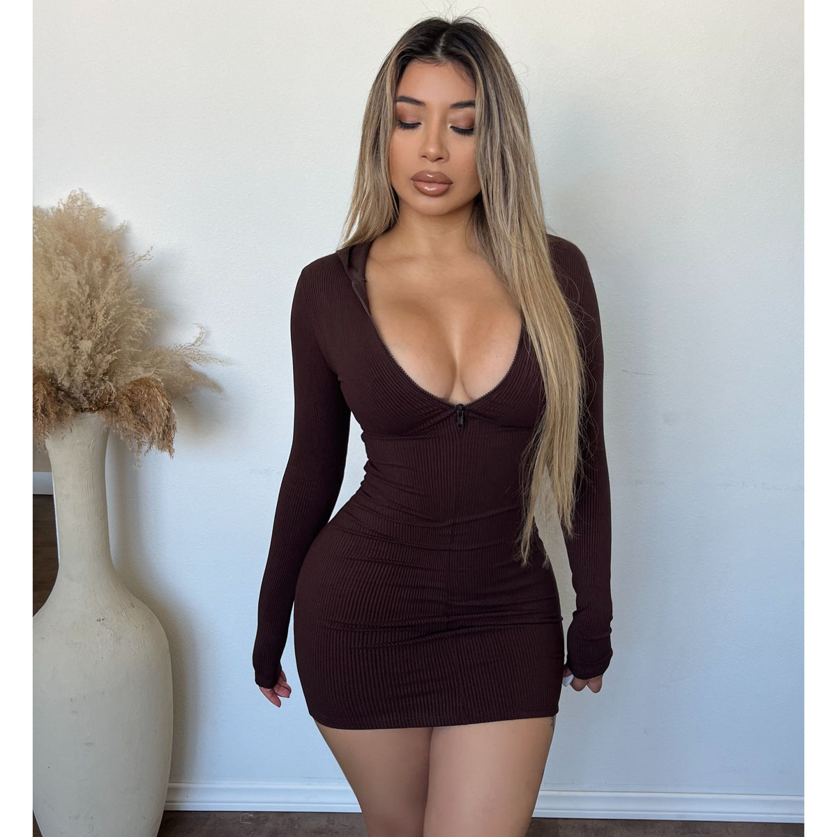 Gia Snatched Rib Hoodie Dress(Chocolate)