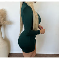 Hailey Long Sleeve Mini Dress (Hunter Green)