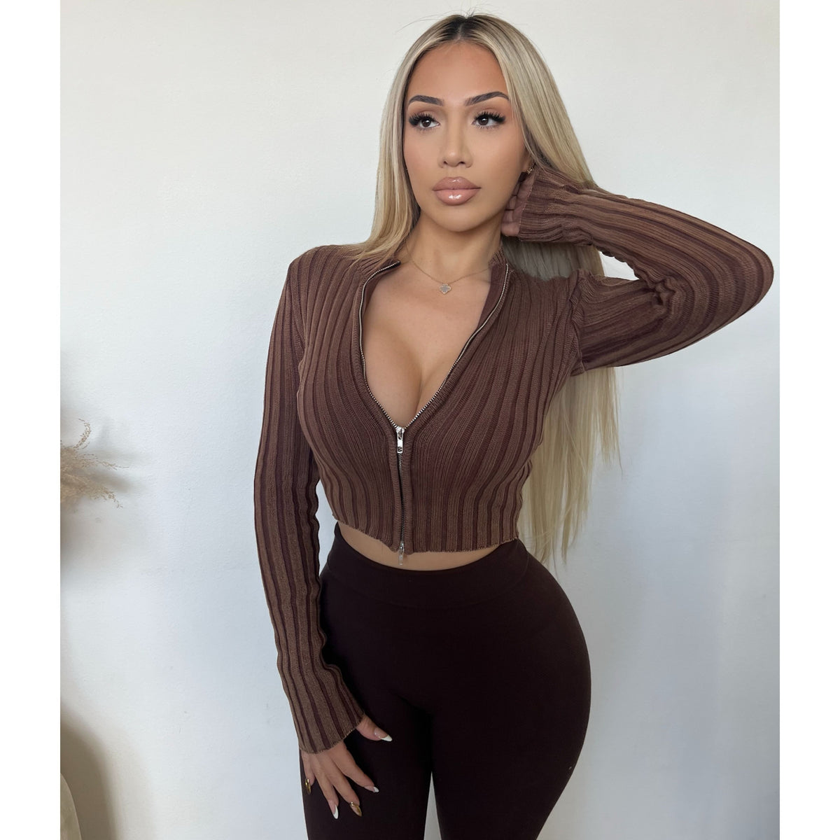 Audrey Rib Zip Up Sweater (Brown)