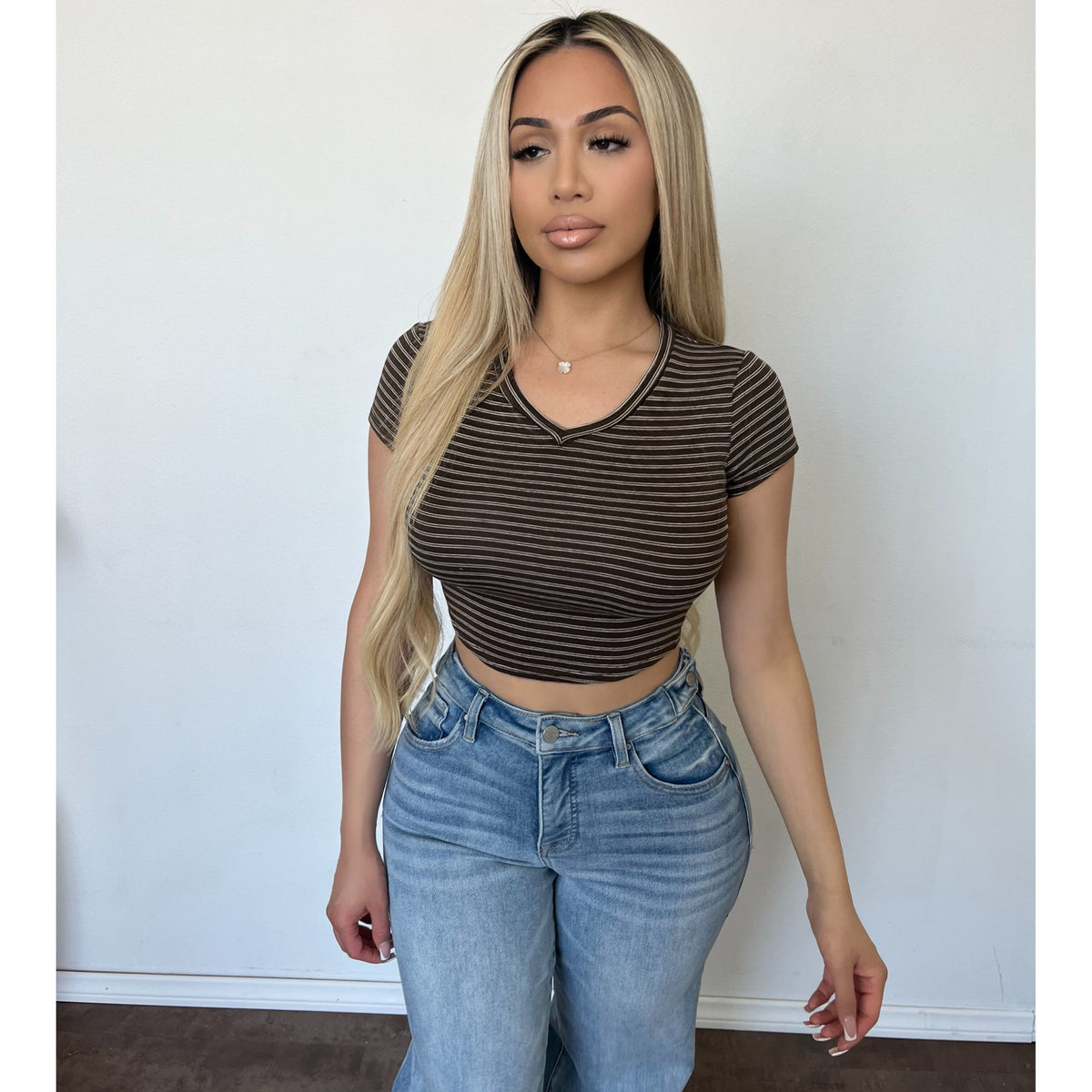 Bianca Stripe V Neck Tee (Coco/Stripes)