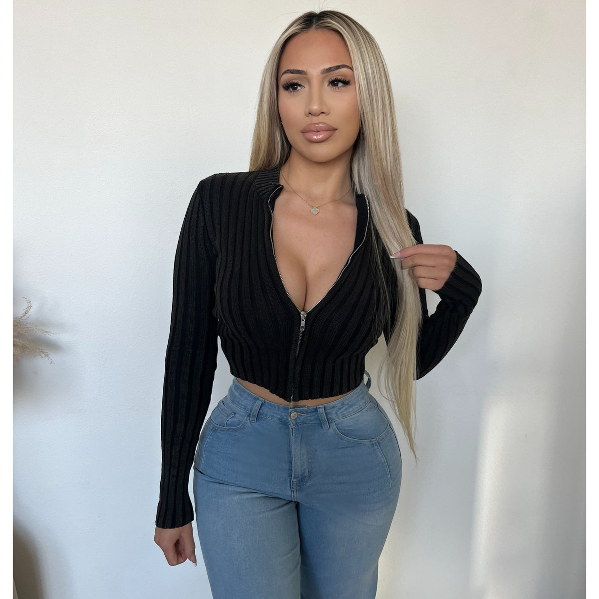 Audrey Rib Zip Up Sweater (Black)