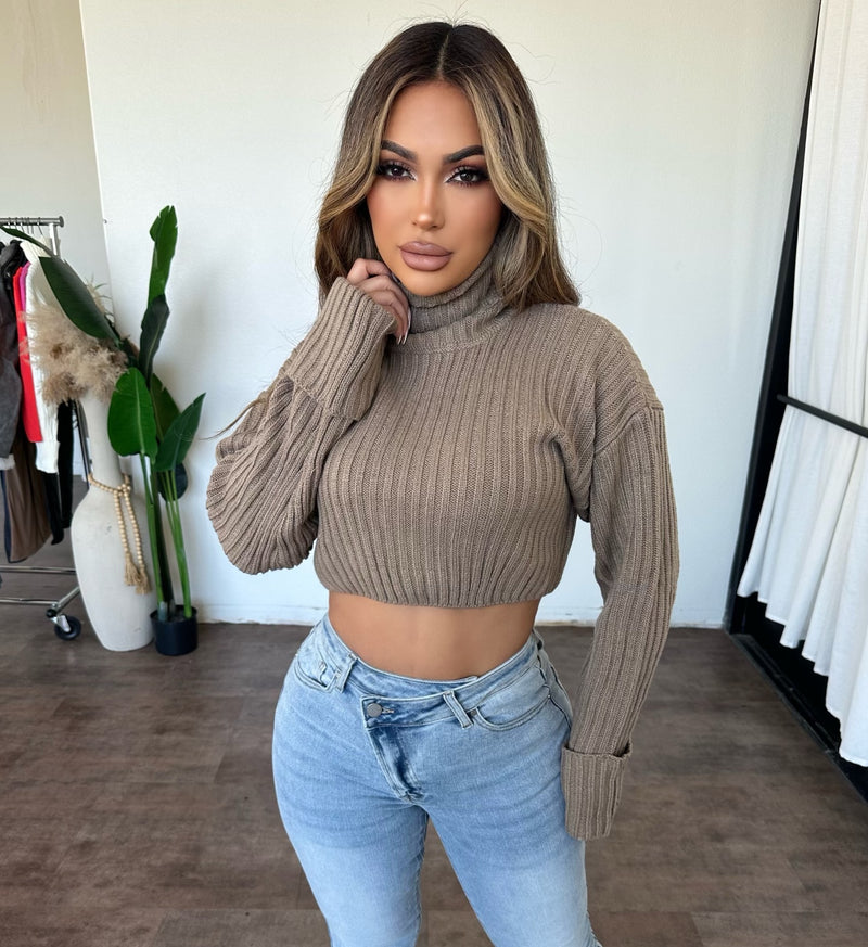 Helen Cropped Sweater(Taupe)